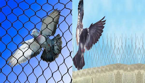 Anti bird netting