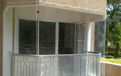 Pigeon Safety Net IN Hyderabad 