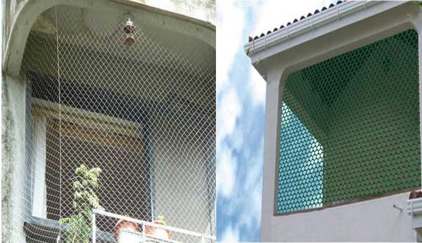 Pigeon safety nets in Toli chowki 
